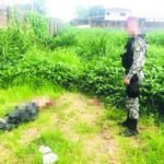 Homicídios – Folha
