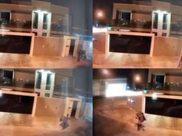 Ladrões furtam lixeira de casas nos bairros Caçari e Paraviana