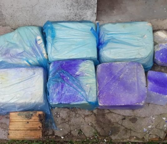 Fiscalização apreende 44 Kg de queijo clandestino da Venezuela na fronteira em RR
