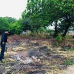 Homicídio – divulgação