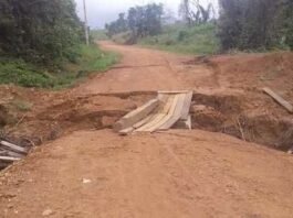 Ignorados pelo Governo de RR, moradores de vicinal improvisam ponte em vicinal do Cantá